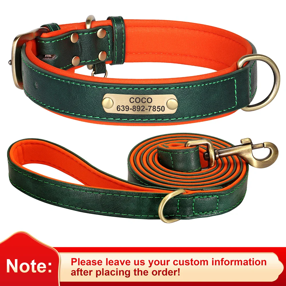 Personalised Dog ID Collar and Leash Set - Image 9