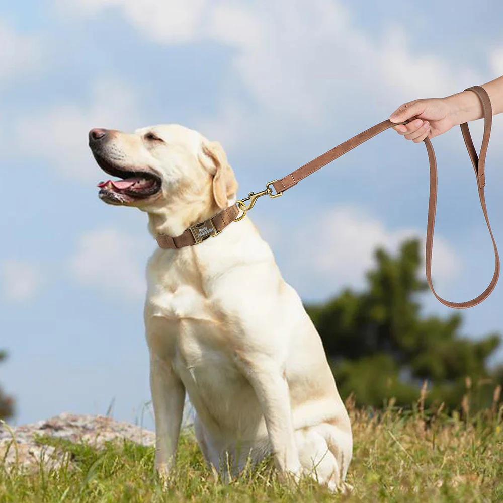 Personalised Leather Dog Collar and Lead Set - Image 5