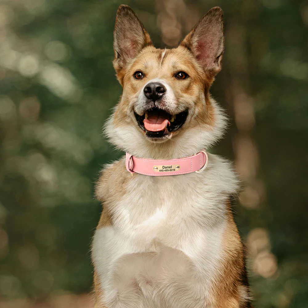 Personalised PU Leather Dog Collar and Leash Set with Custom ID Nameplate - Image 5