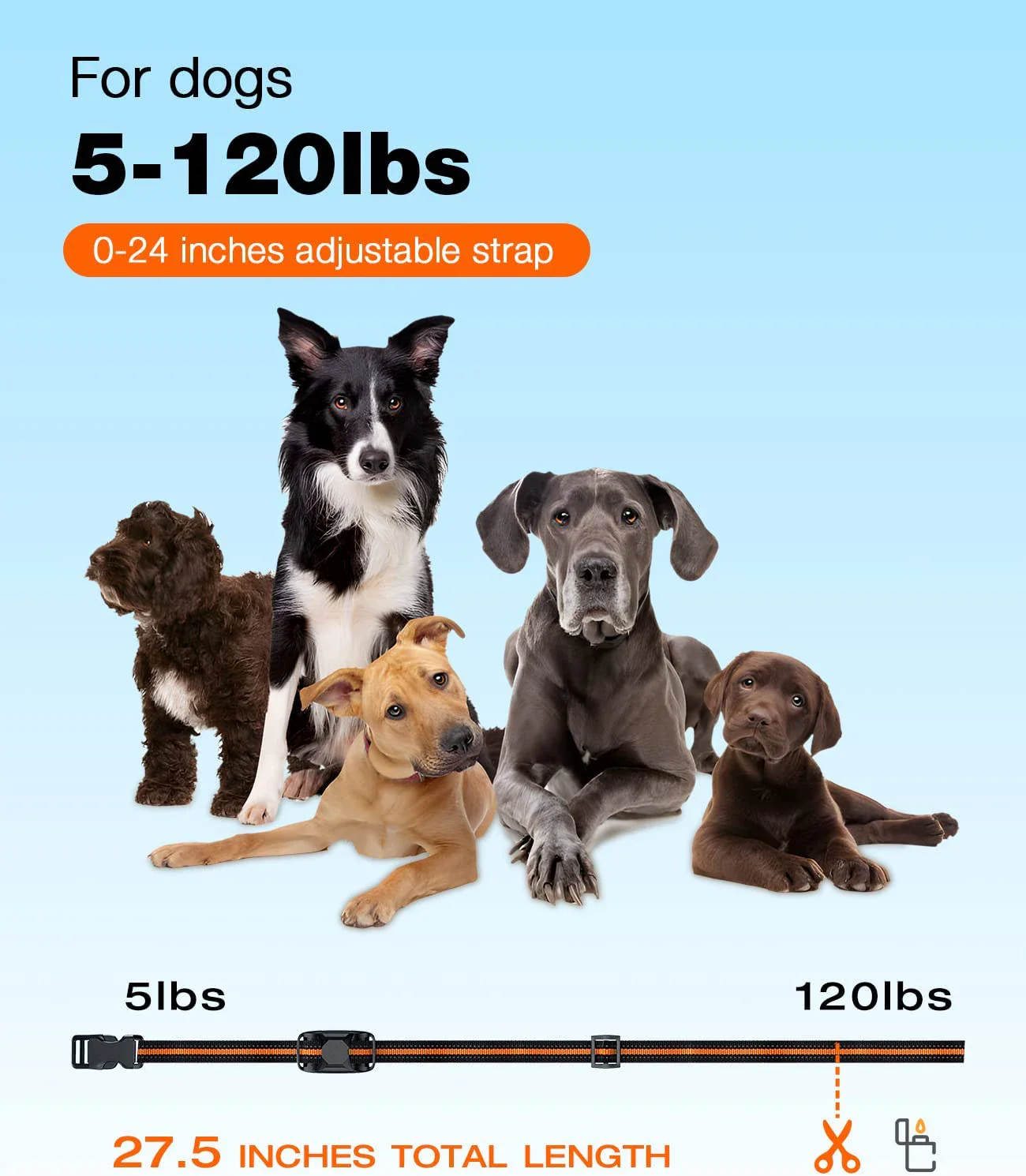 Pet Dog Training Collar - Image 4
