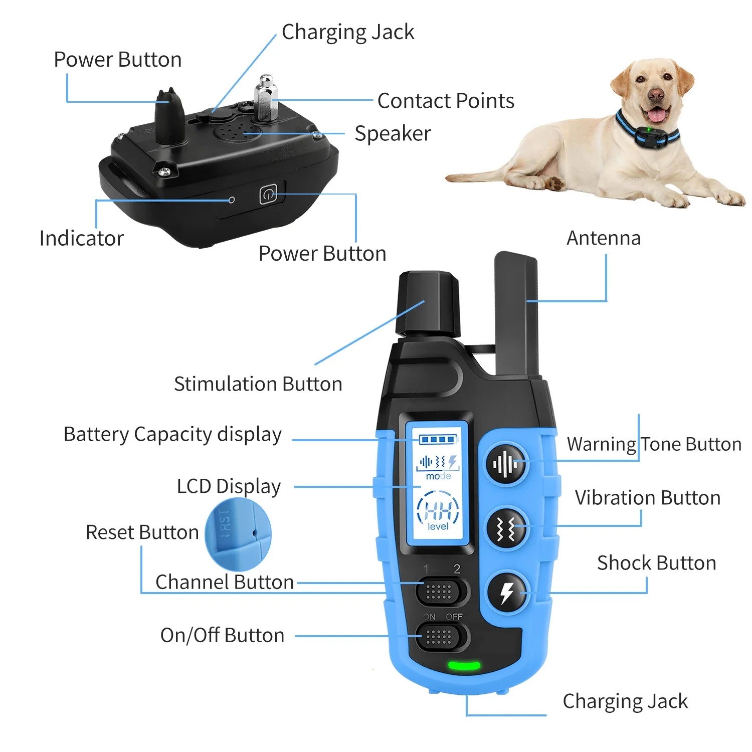 Pet Dog Training Collar - Image 5