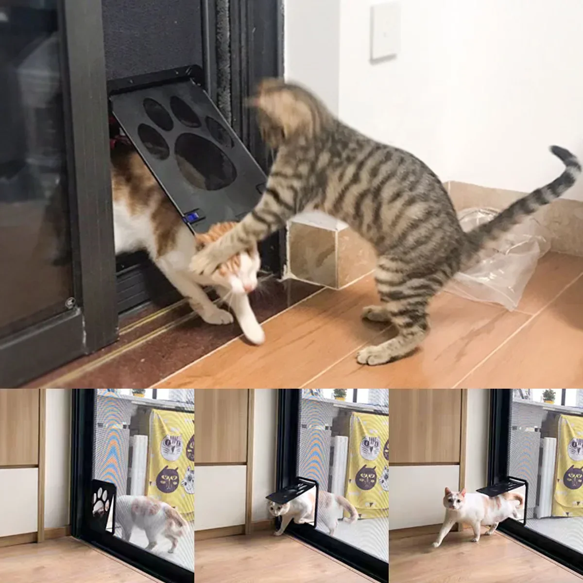 Pet Door with Safe Lockable Magnetic Screen - Image 2