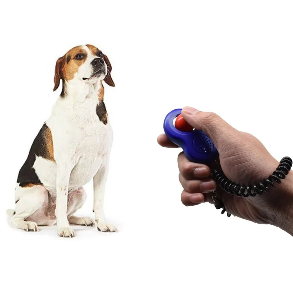Pet Training Clicker with Finger Loop and Wrist Band - Image 3