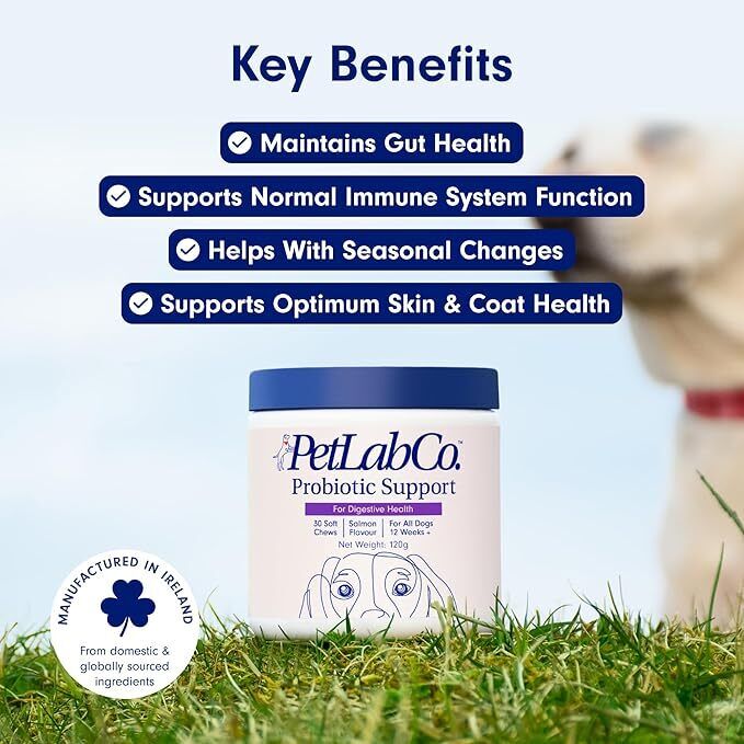 Petlab Co Probiotic Dog Chews Gut Health Support Treats Stop Itchy Skin & Yeast. - Image 3