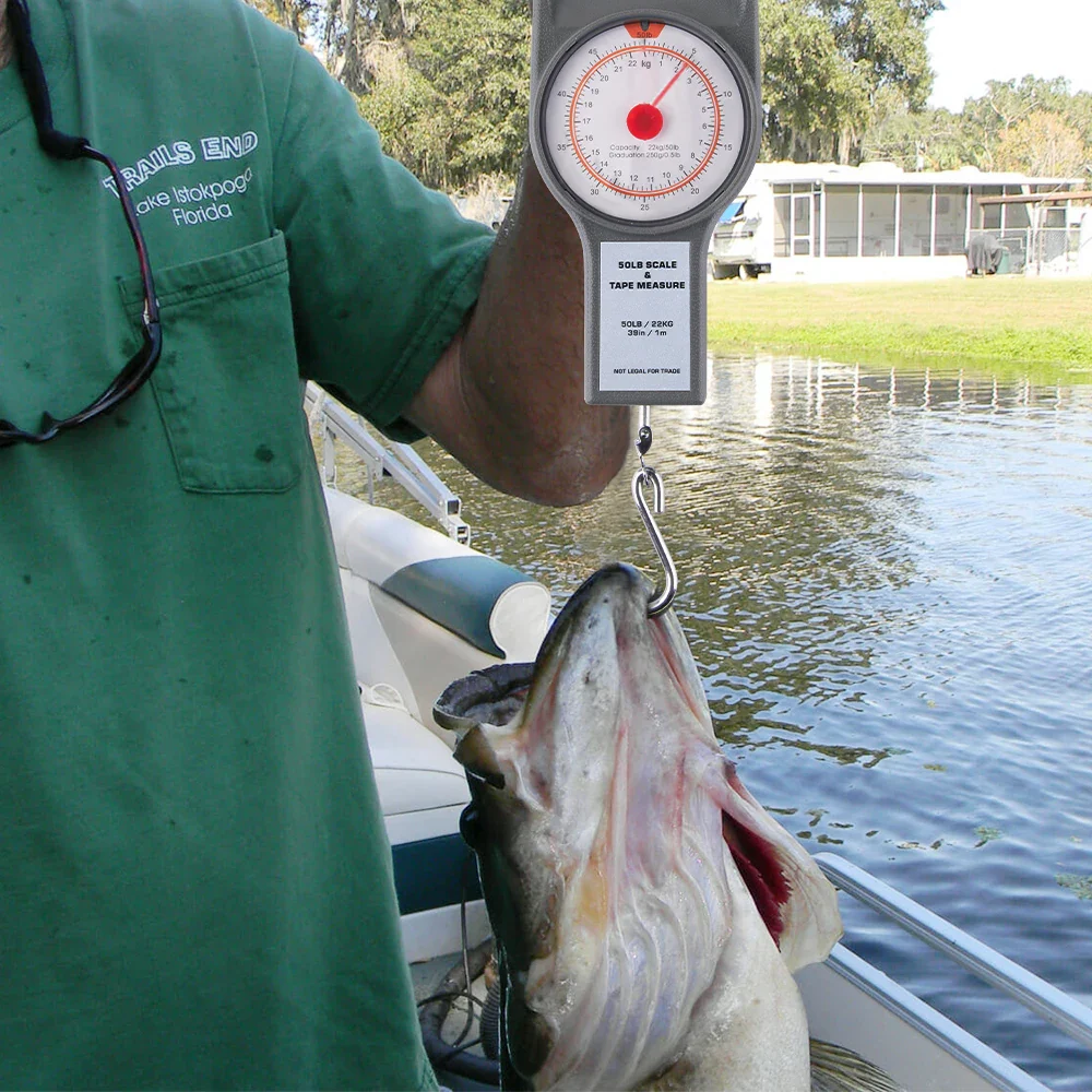 Portable Fishing Scale - Image 2