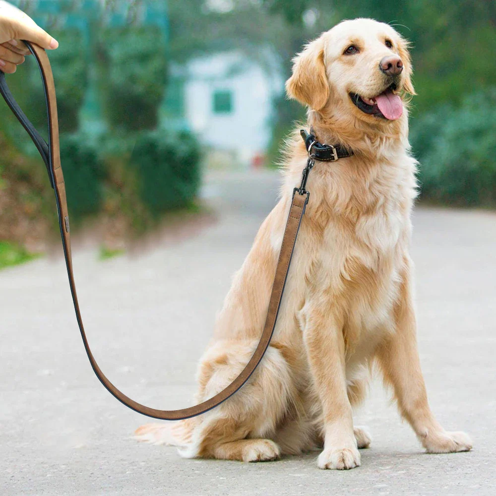 Premium Leather Dog Leash - Image 6