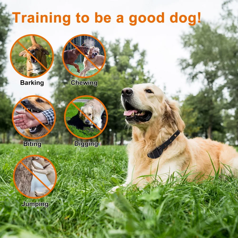 Professional Dog Training Collar with Walkie-Talkie Functionality - Image 6