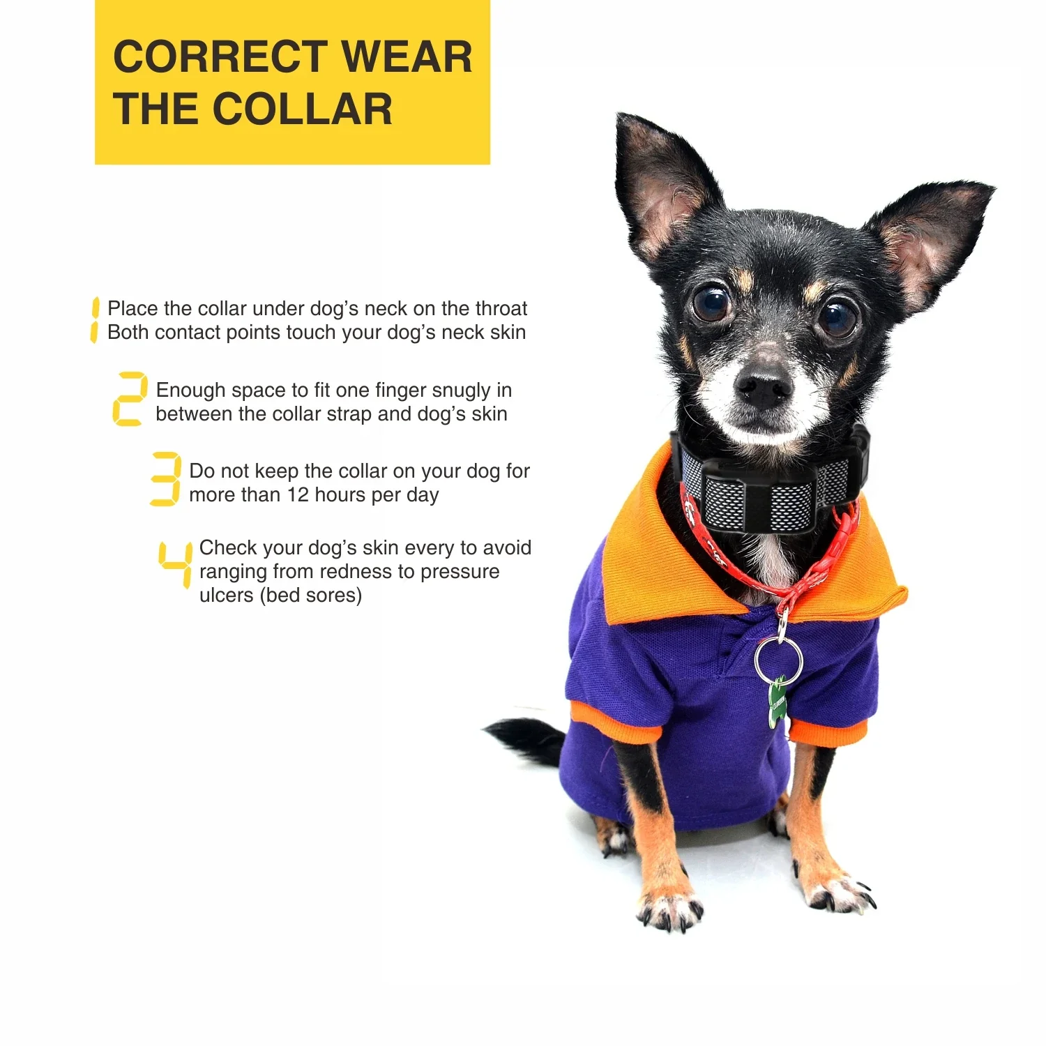 Rechargable Bark Training Dog Collar for Small Dogs (5-15lbs) - Image 6