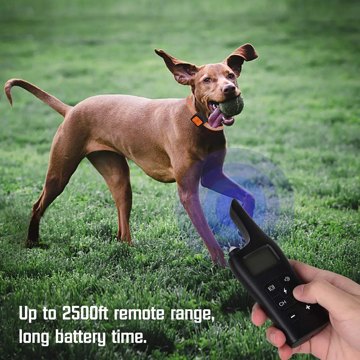 Rechargeable Dog Shock Collar with Remote  - Image 5