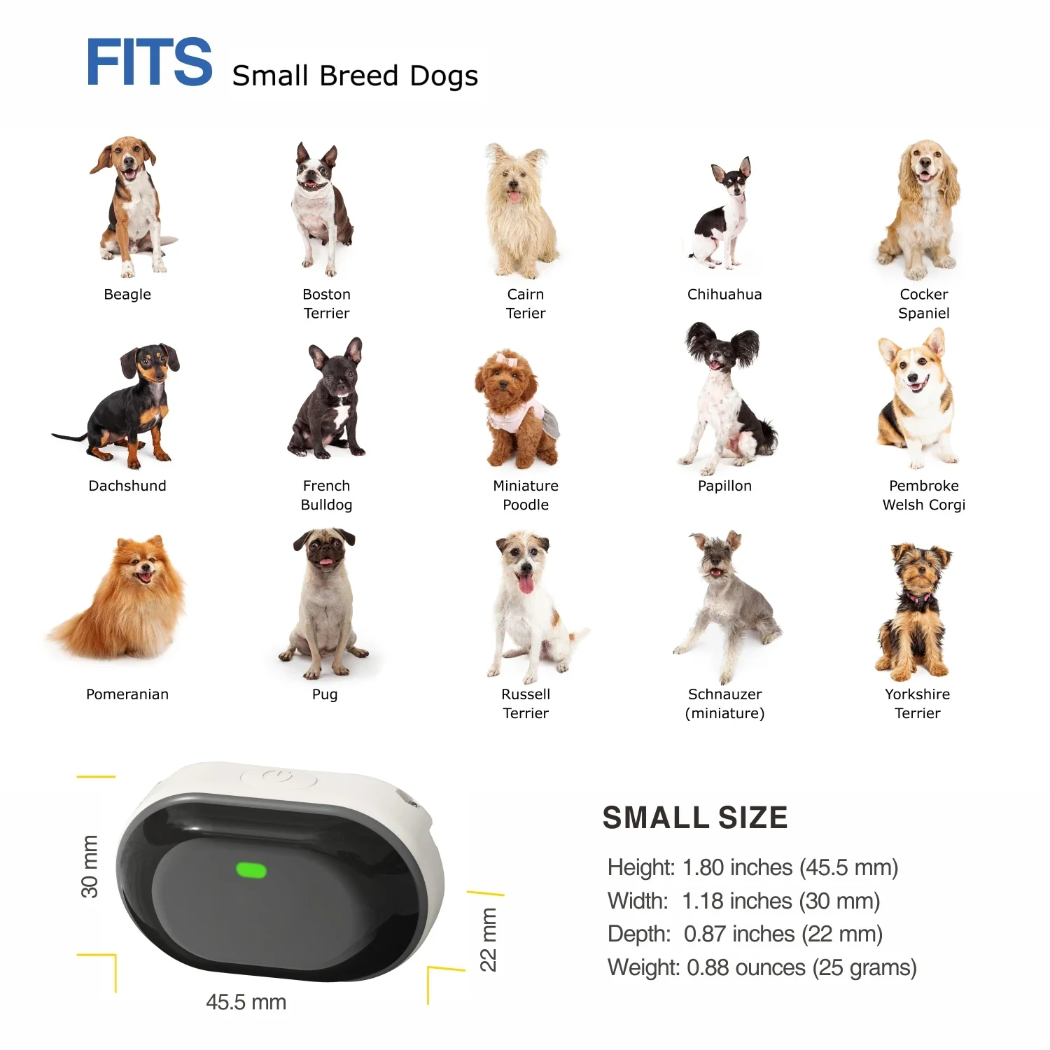 Rechargeable Small Dog Training Collar with Remote Control - Image 3