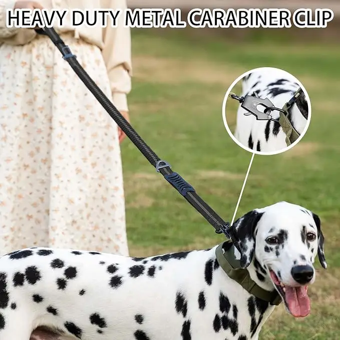 Reflective Shock Absorbing Pet Leash with Car Seatbelt for Large Dogs - Image 4