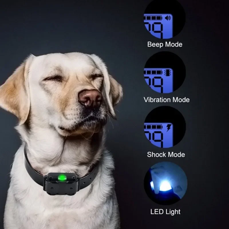 Remote Dog Training Collar - Image 6