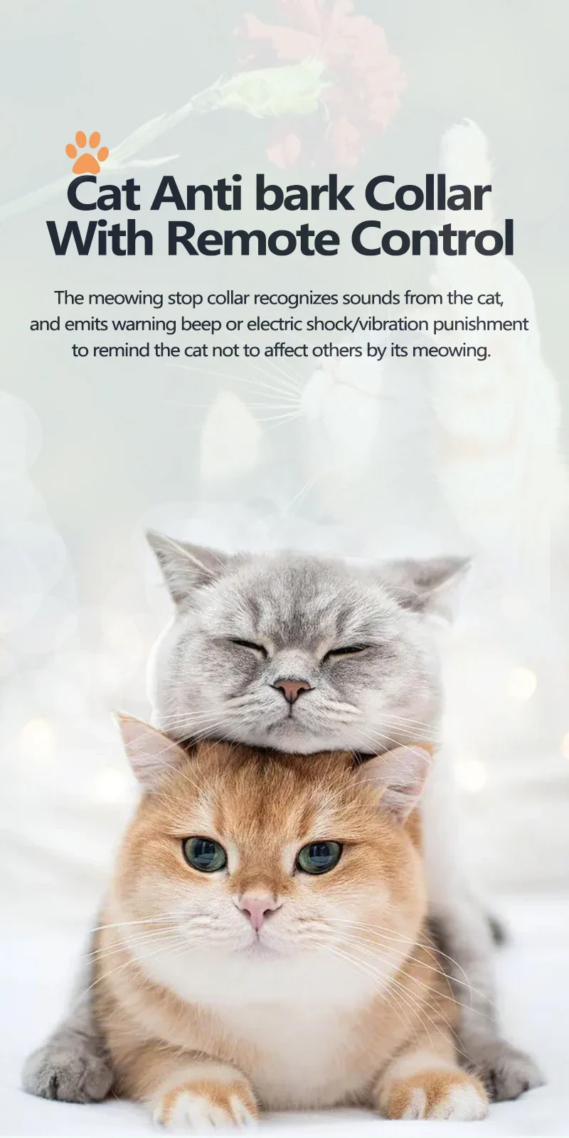 Cat Pet Training Device with Remote and Collar - Image 4