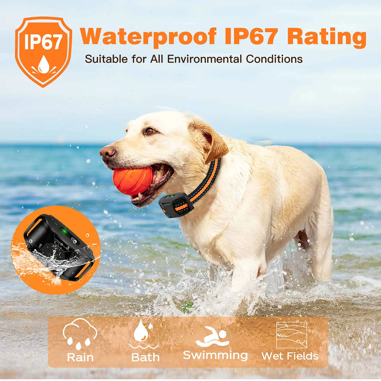 Replacement Dog Training Collar for RS2 Model – Collar Only, Remote Required - Image 4