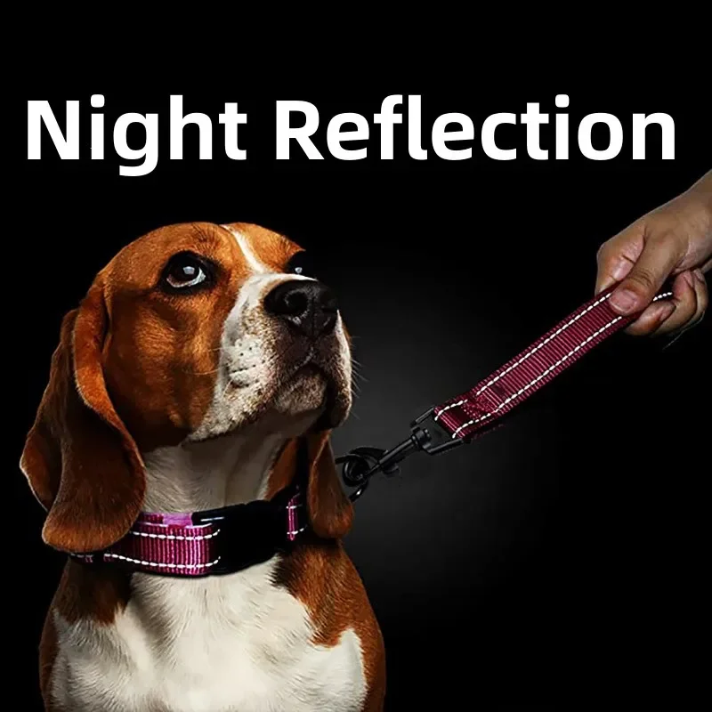 Short Dog Leash - Image 2