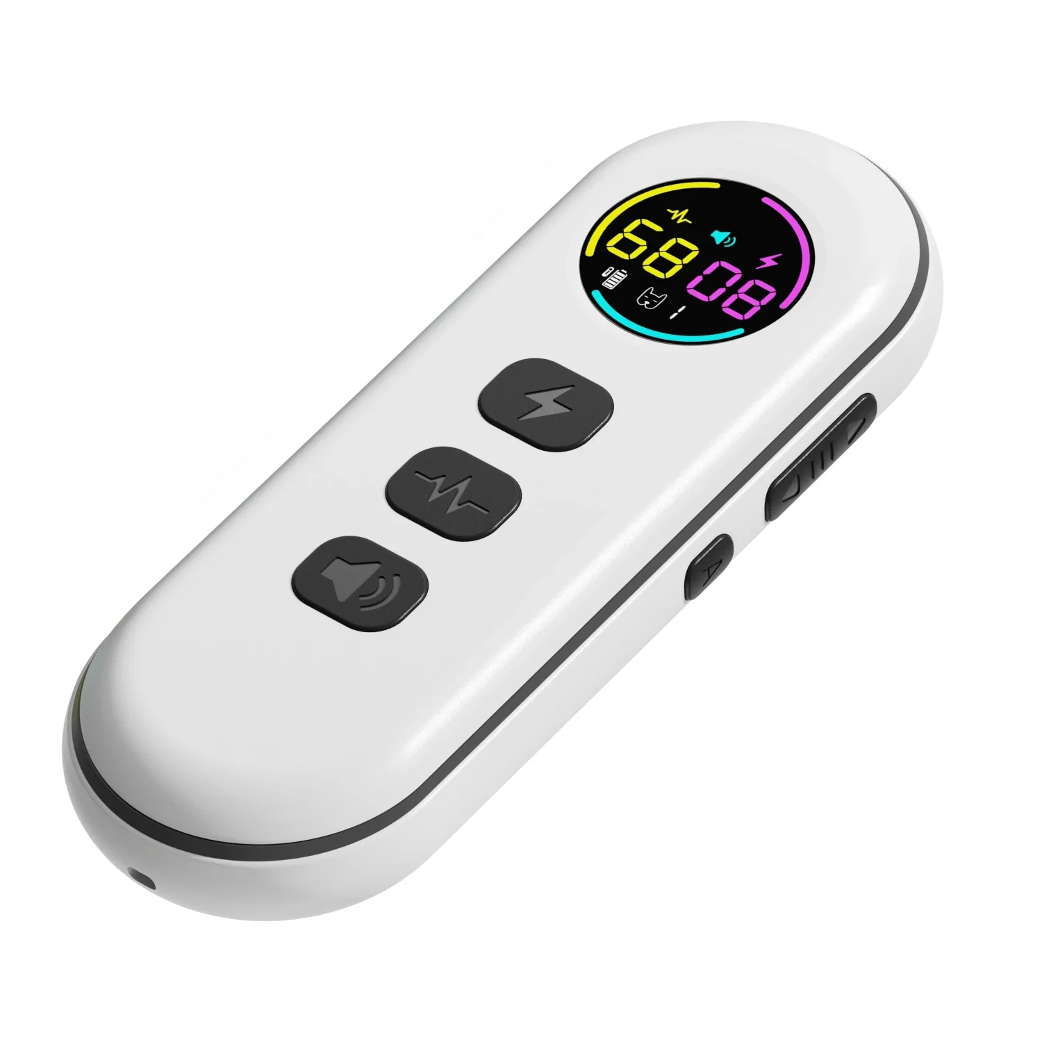 Small Dog Training Collar with Remote Control (300M) - Image 2