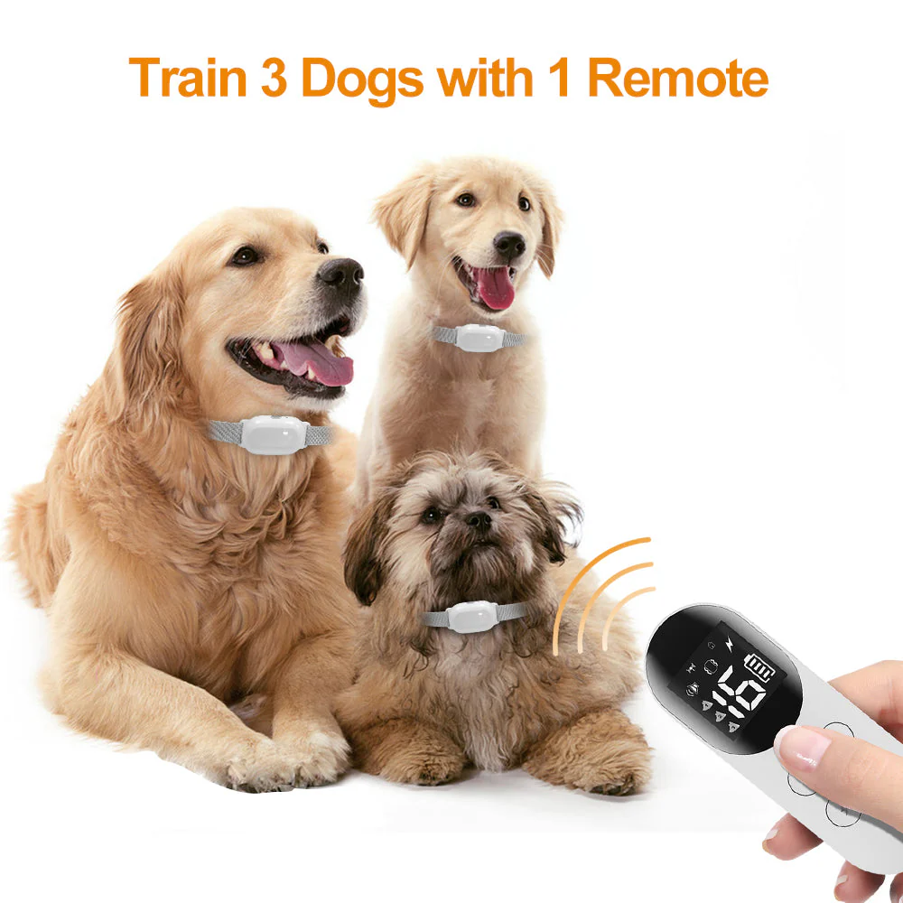 T200 Dog Training Collar - Image 2