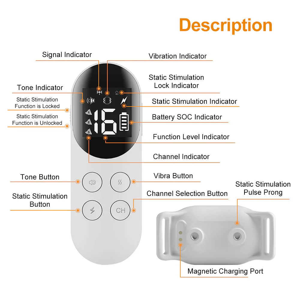 T200 Dog Training Collar - Image 4