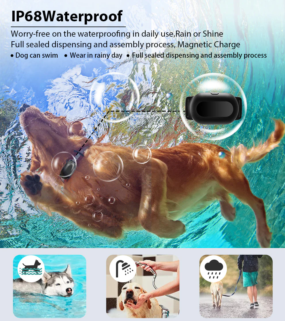 T300 Dog Training Collar - Image 3