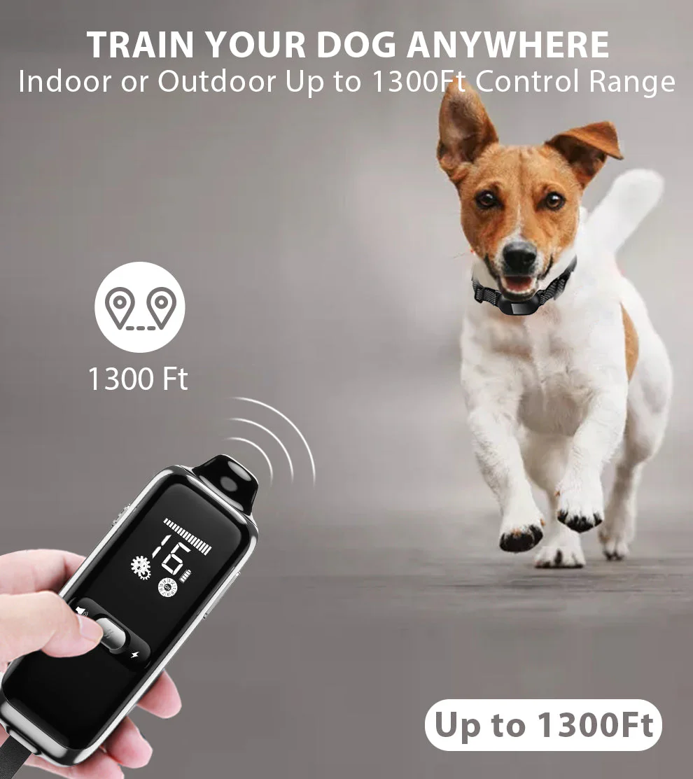 T300 Dog Training Collar - Image 4