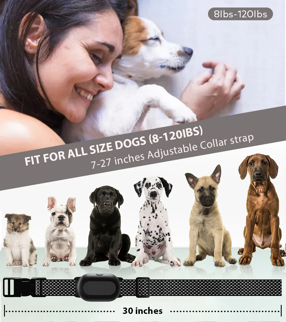 T300 Dog Training Collar - Image 5