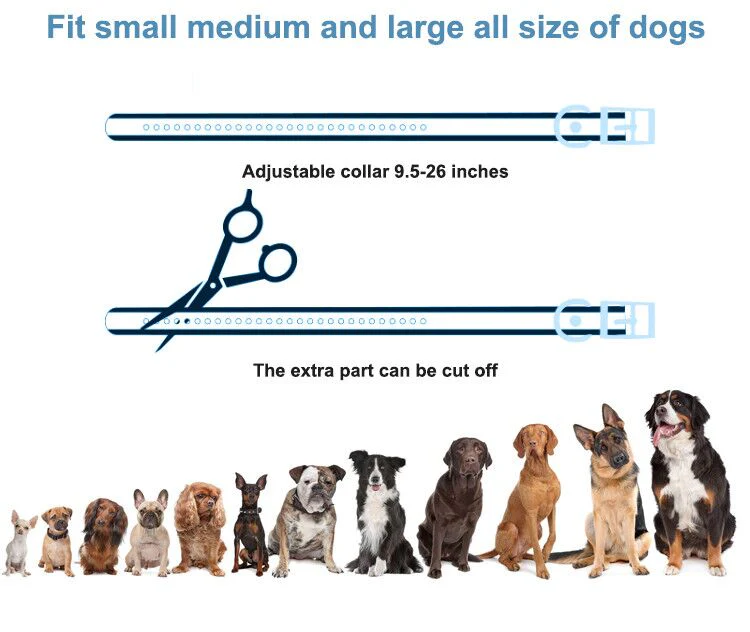 T720 2-in-1 Dog Training Collar (Manual Training + Auto Bark Control) - Image 15
