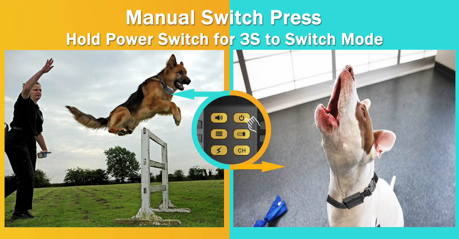 T720 2-in-1 Dog Training Collar (Manual Training + Auto Bark Control) - Image 21