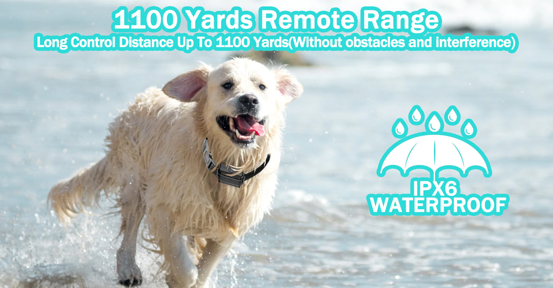 T720 2-in-1 Dog Training Collar (Manual Training + Auto Bark Control) - Image 23