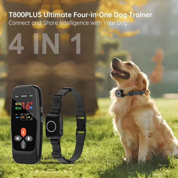 T800-Plus Training Collar - Image 3