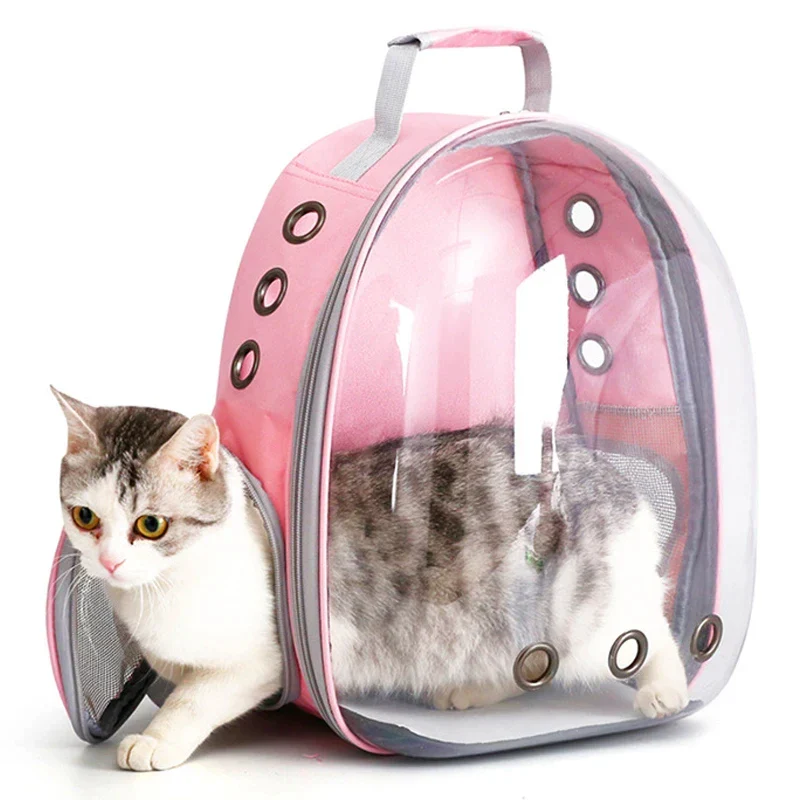 Transparent Capsule Pet Carrier Backpack – Breathable Travel Bag for Cats, Puppies & Small Animals - Image 3