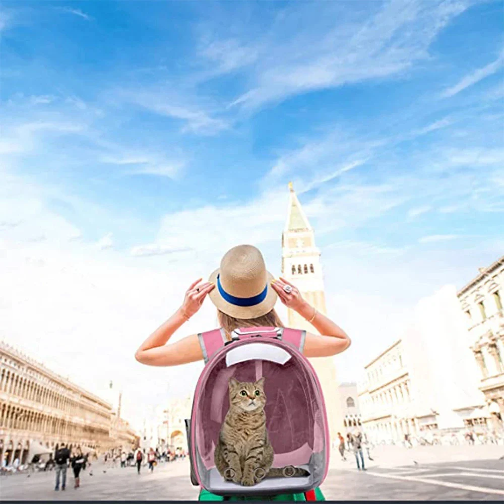 Transparent Capsule Pet Carrier Backpack – Breathable Travel Bag for Cats, Puppies & Small Animals - Image 4